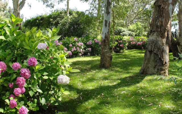 Hotel Del Bosque