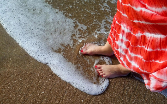 Curta Praia de Armação - Casa Coqueiro