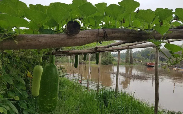 Lang Noi Tan Lap Hotel
