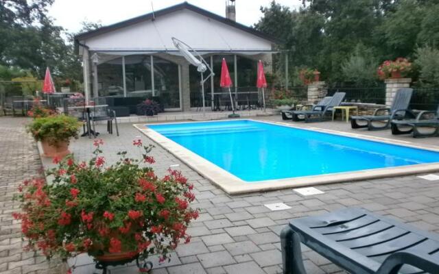 Guest House Soši