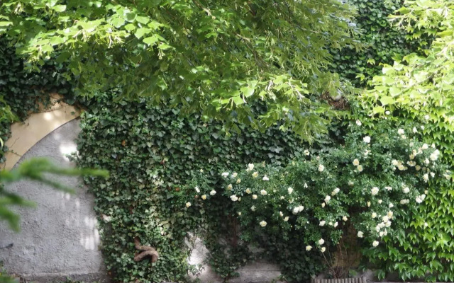 Patio Apartamenty i Pokoje