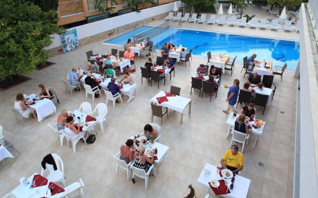 Catty Cats Garden Hotel