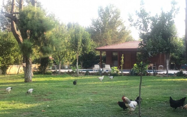 Lovely Summer House With Shared Pool in Kepez