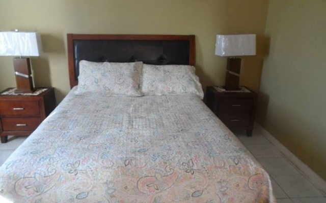 New Kingston Guest Apartment V