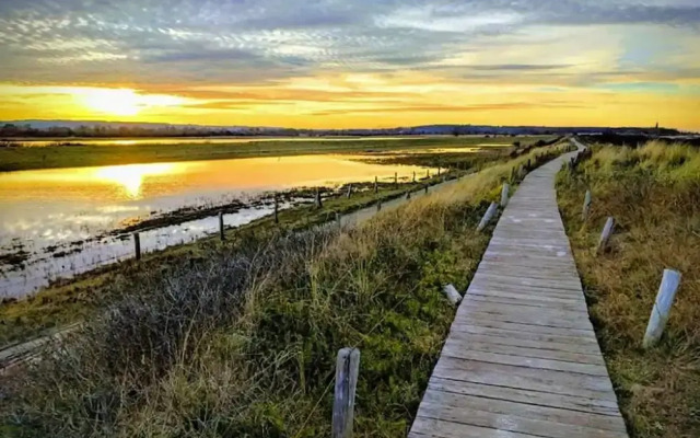 Apartment in Behrensdorf Near Baltic Sea