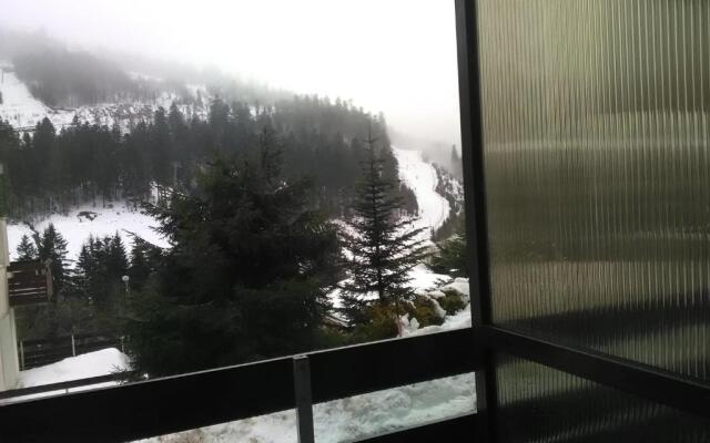 Appartement A La Bresse Hohneck