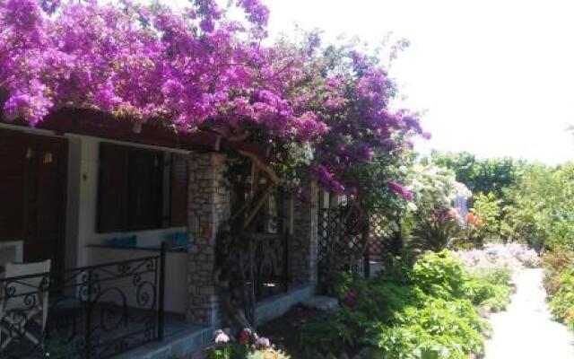 The Garden