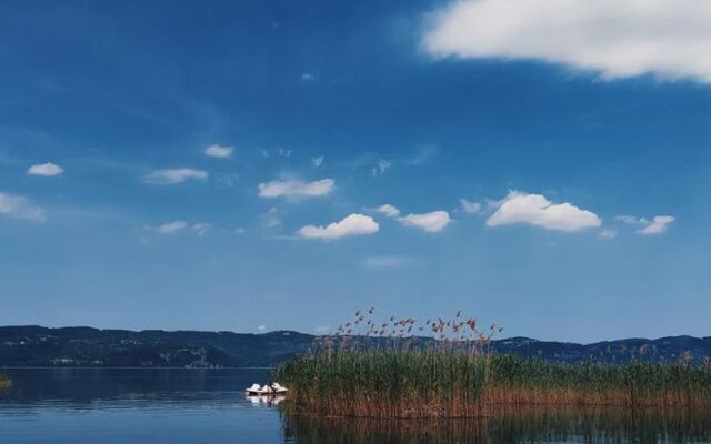 Alcedo Bungalov