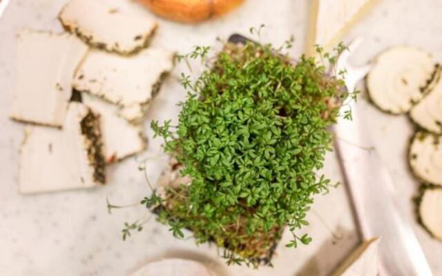 Gesundheits- und Vitalhotel Post