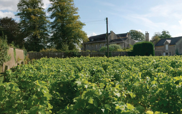 Leigh Park Country House Hotel  Vineyard, BWSC