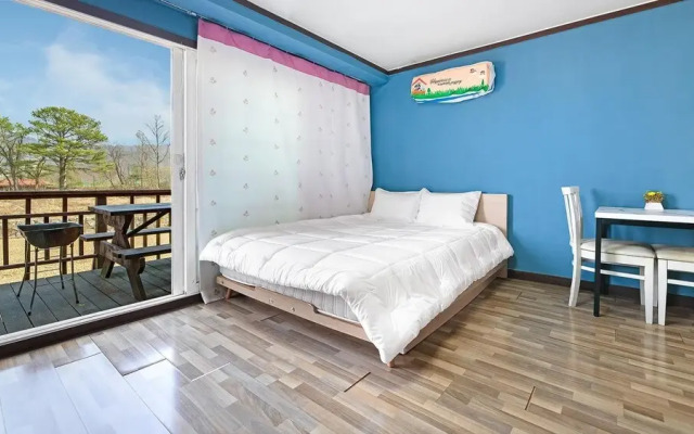 Gapyeong Dochi Vill Pension