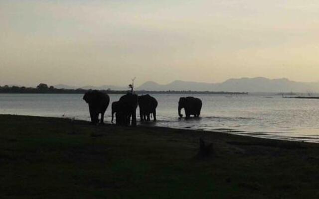 Tusker Safari Bungalow