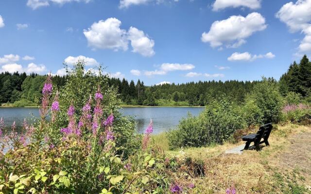 Wooden chalet with oven, in Oberharz near a lake