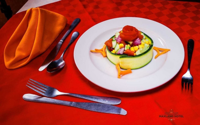 Maxland Hotel Juja
