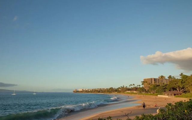 Eldorado J209 by RedAwning