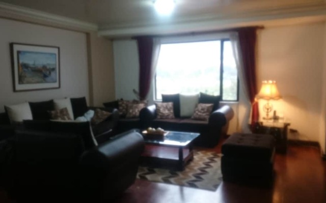 JZ Luxury Apartment La Carolina