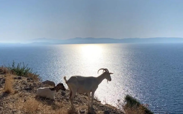 Villa Alati - Seafront Villa With Swimming Pool