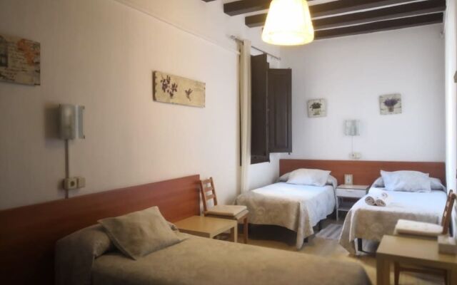 Hostal Dragonfly BCN