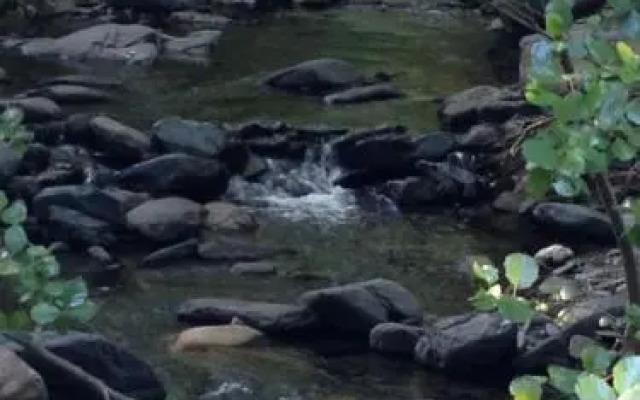 Montseny Suites & Apartments