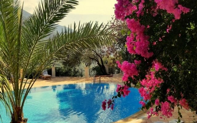 Paradise Garden Hotel