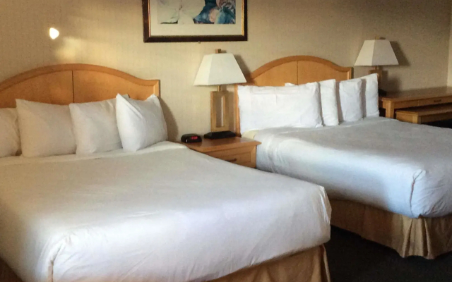 Coast Dawson Creek Hotel