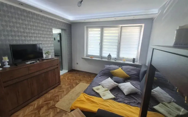 Apartament Park Saski