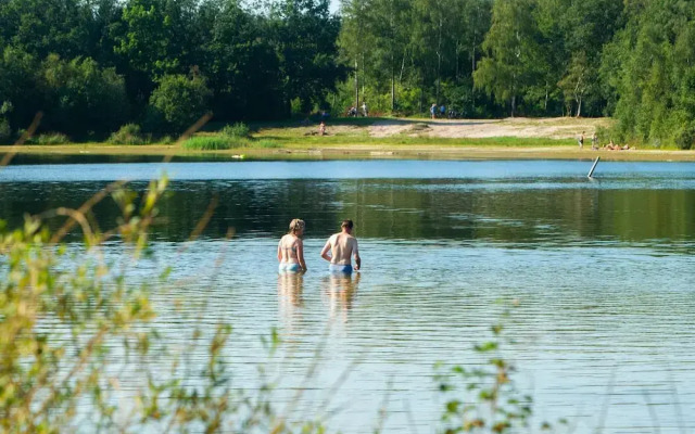 Detached Bungalow With Fireplace, in Appelscha