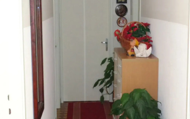 Anna Guesthouse