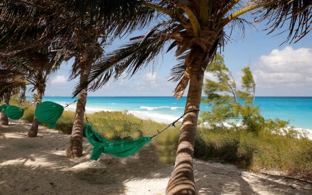 Exuma Palms