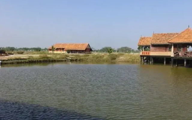 Velankanni Lake Resort