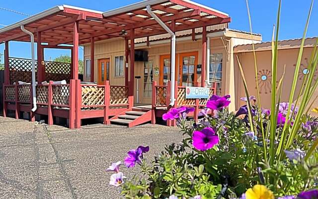 1 or 3 Bedroom Apartment with Full Kitchen