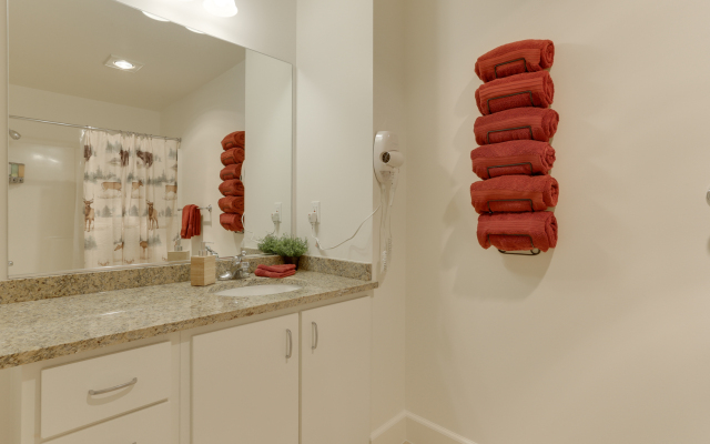 Modern 1BR Apartment - Downtown Location