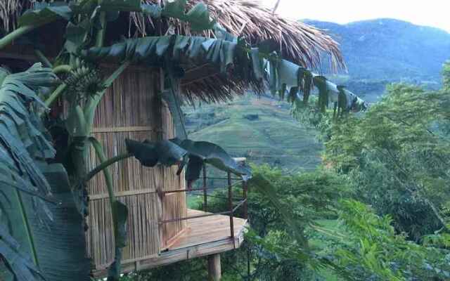 Eco Hills Homestay