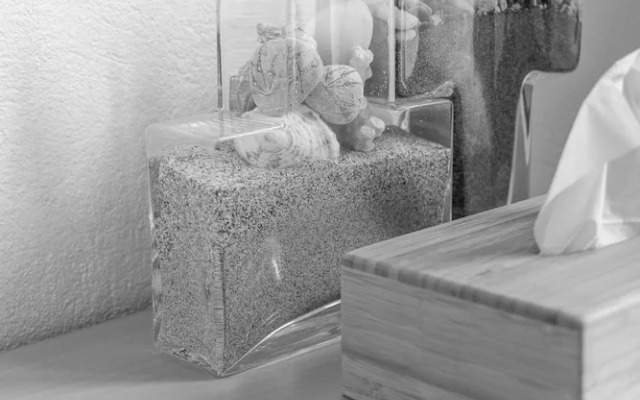 Le Prieuré Notre-Dame