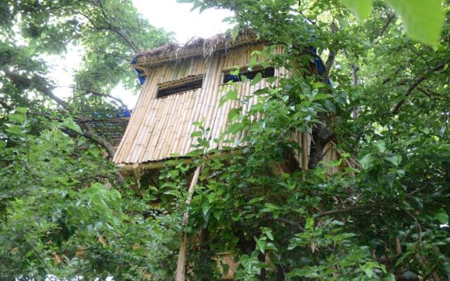 Eagle Nest