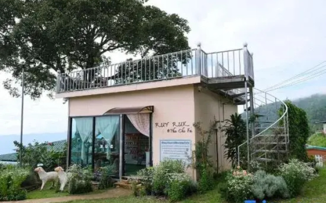 Phuchifa Sky Camp