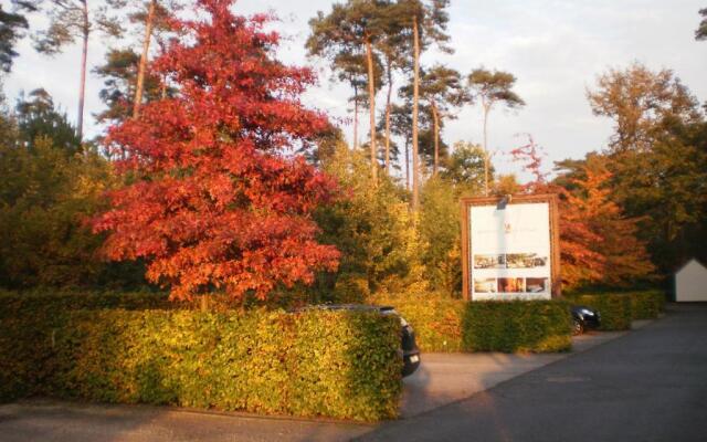 Domein Martinus