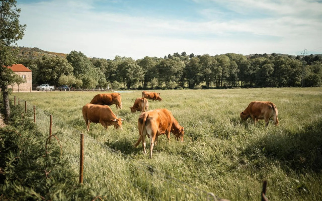 Quinta Do Rio Noémi