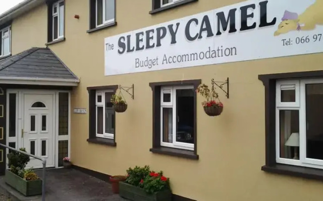 The Sleepy Camel Hostel