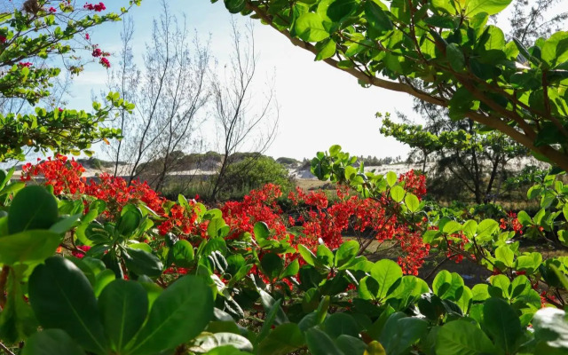 Vila Verde Chalés