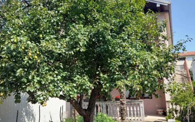 Apartman Avdić