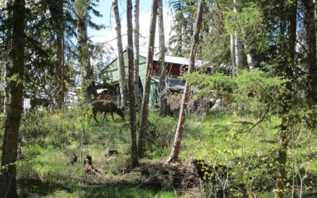 Tall Timbers Resort