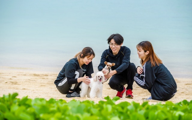 Guest room WES - Vacation STAY 49860v