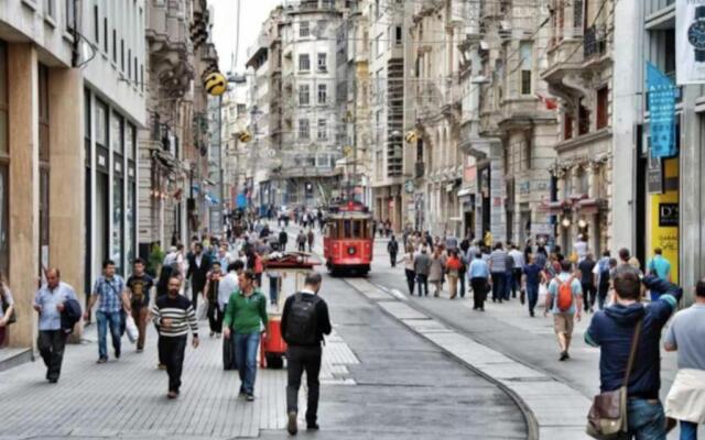 Cozy big room with basement garden R1