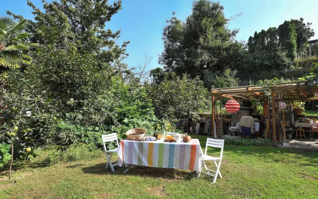 Petit Jardin