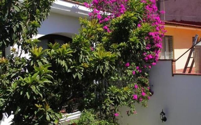 Bed And Breakfast Estancia De Valencia