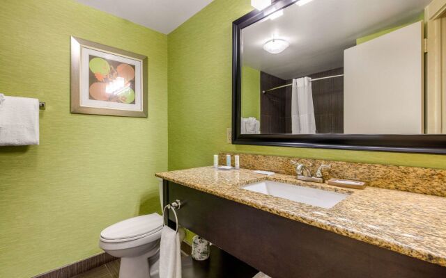 Holiday Inn Nashville Downtown - Stadium by IHG
