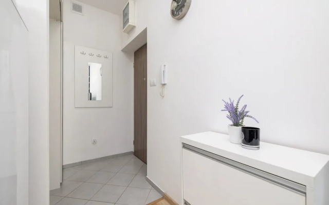 Pet-friendly & Cozy Studio by Renters