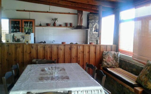 Antonis's Palm House