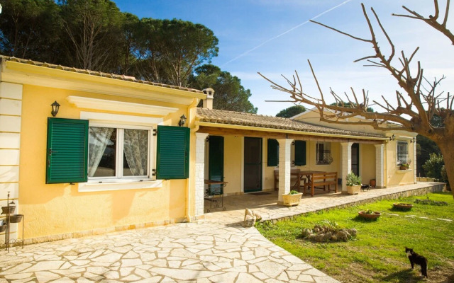 Villa Pine Forest